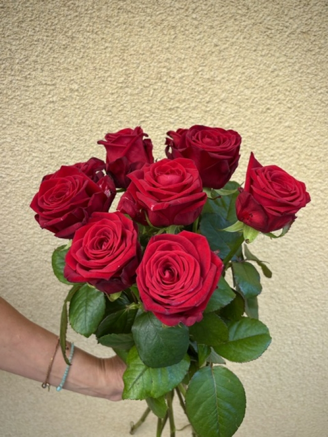 Roses rouges